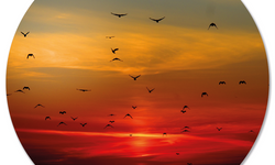 Wanddecoratie cirkel Sunset 1 outdoor