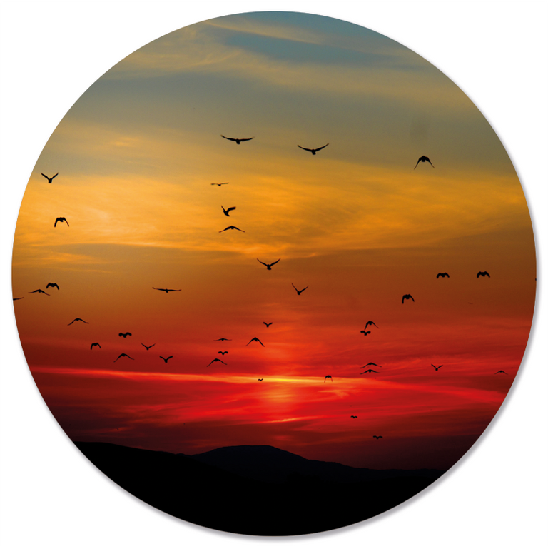 Wanddecoratie cirkel Sunset 1 outdoor