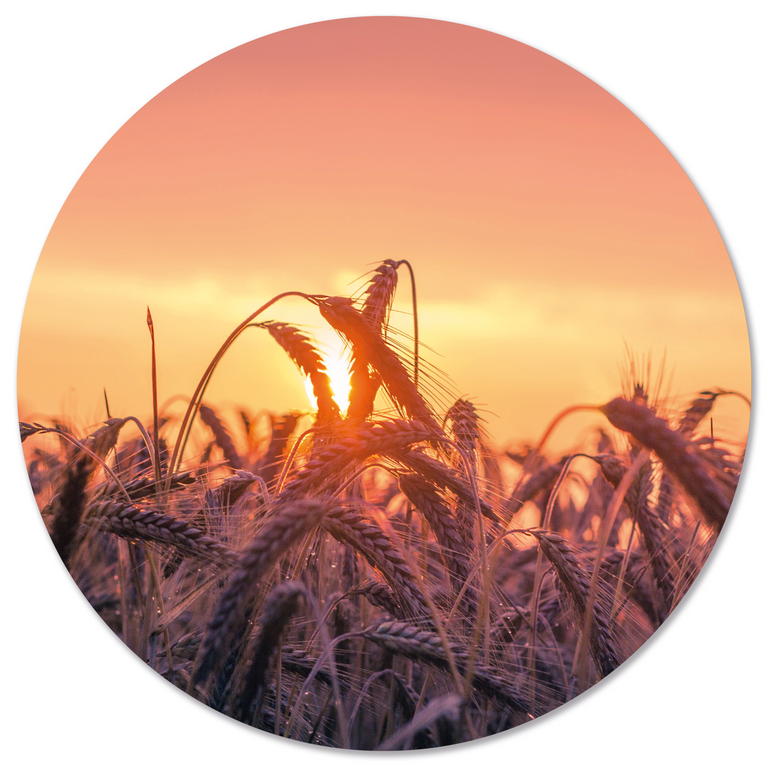 Wanddecoratie cirkel Sunset outdoor
