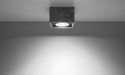 1-lichts Plafondlamp Quatro