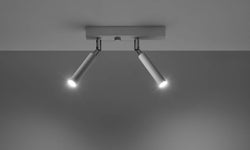 2-lichts plafondlamp Eyetech