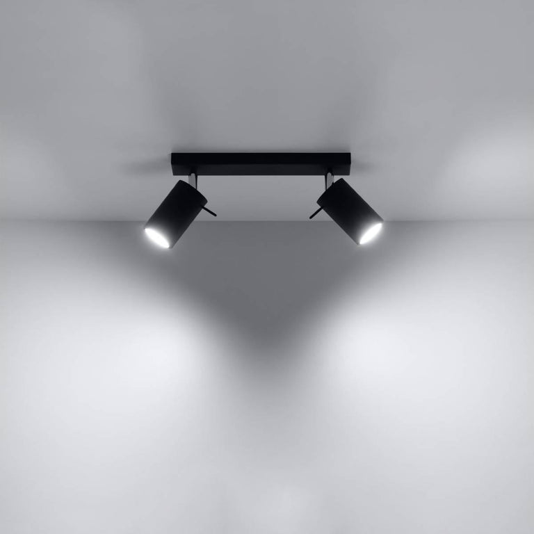 2-lichts plafondlamp Ring