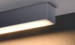 Plafondlamp Pinne L 3000K