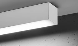 Plafondlamp Pinne S 4000K