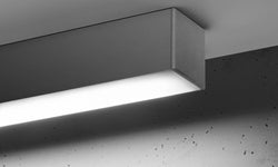 Plafondlamp Pinne XL 4000K