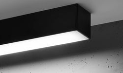 Plafondlamp Pinne XL 4000K