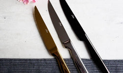Set van 6 steakmessen Carne