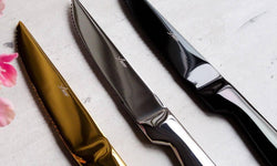 Set van 6 steakmessen Carne