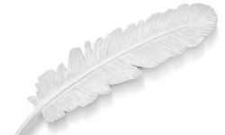 Decoratieve Veer