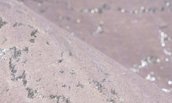 Vloerkleed Flock