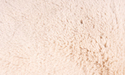Set van 2 Sierkussens Aimee