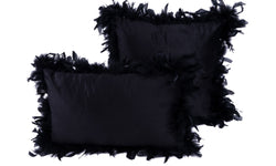 Set van 2 Sierkussens Feather