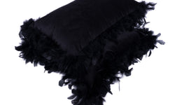 Set van 2 Sierkussens Feather