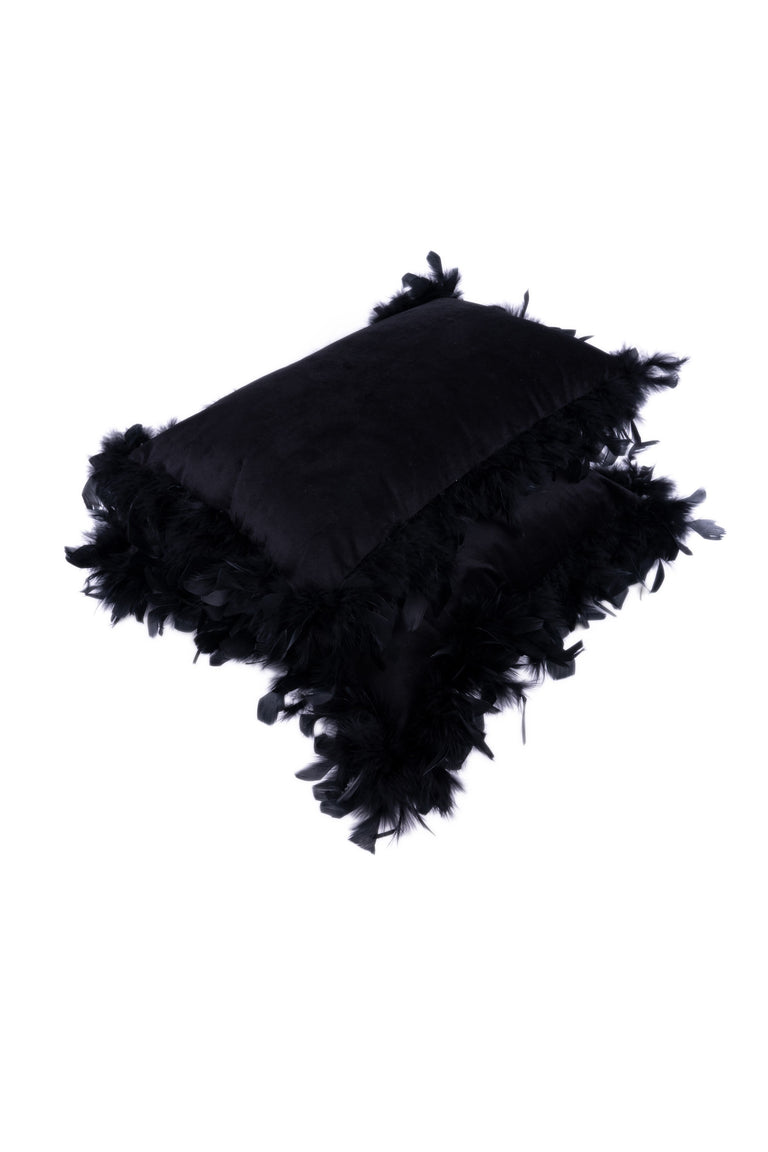 Set van 2 Sierkussens Feather