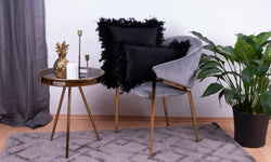 Set van 2 Sierkussens Feather