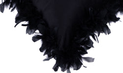 Set van 2 Sierkussens Feather