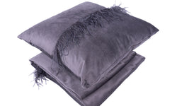 Set van deken en Sierkussen Feathers