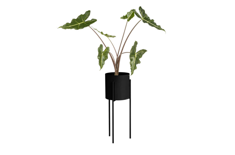 Plantenpot Maki tall