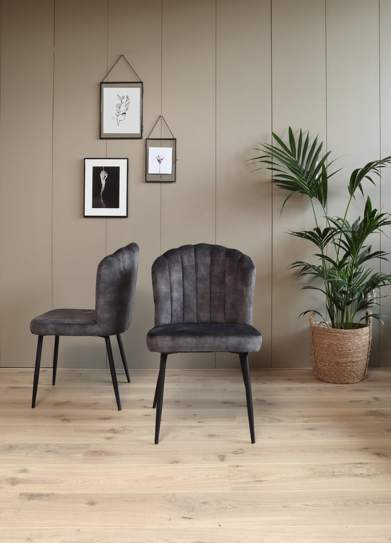 Set van 2 eetkamerstoelen Rose