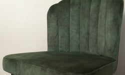 Set van 2 eetkamerstoelen Rose