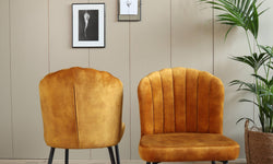 Set van 2 eetkamerstoelen Rose