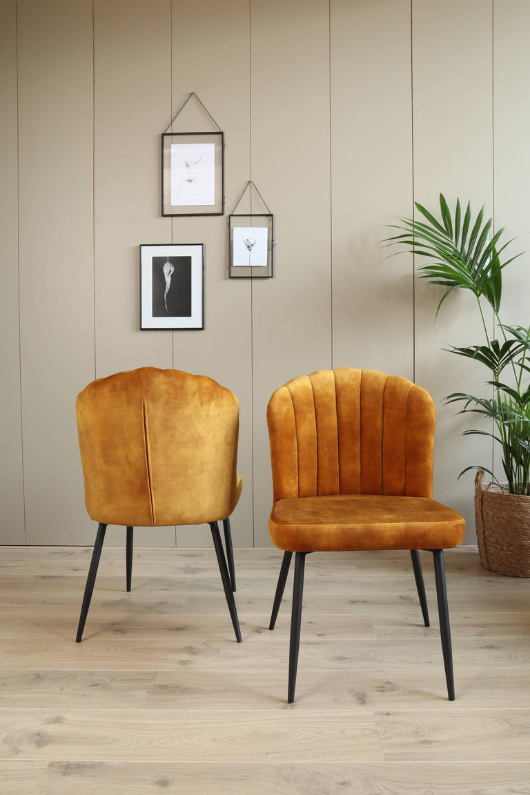 Set van 2 eetkamerstoelen Rose