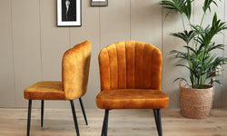 Set van 2 eetkamerstoelen Rose
