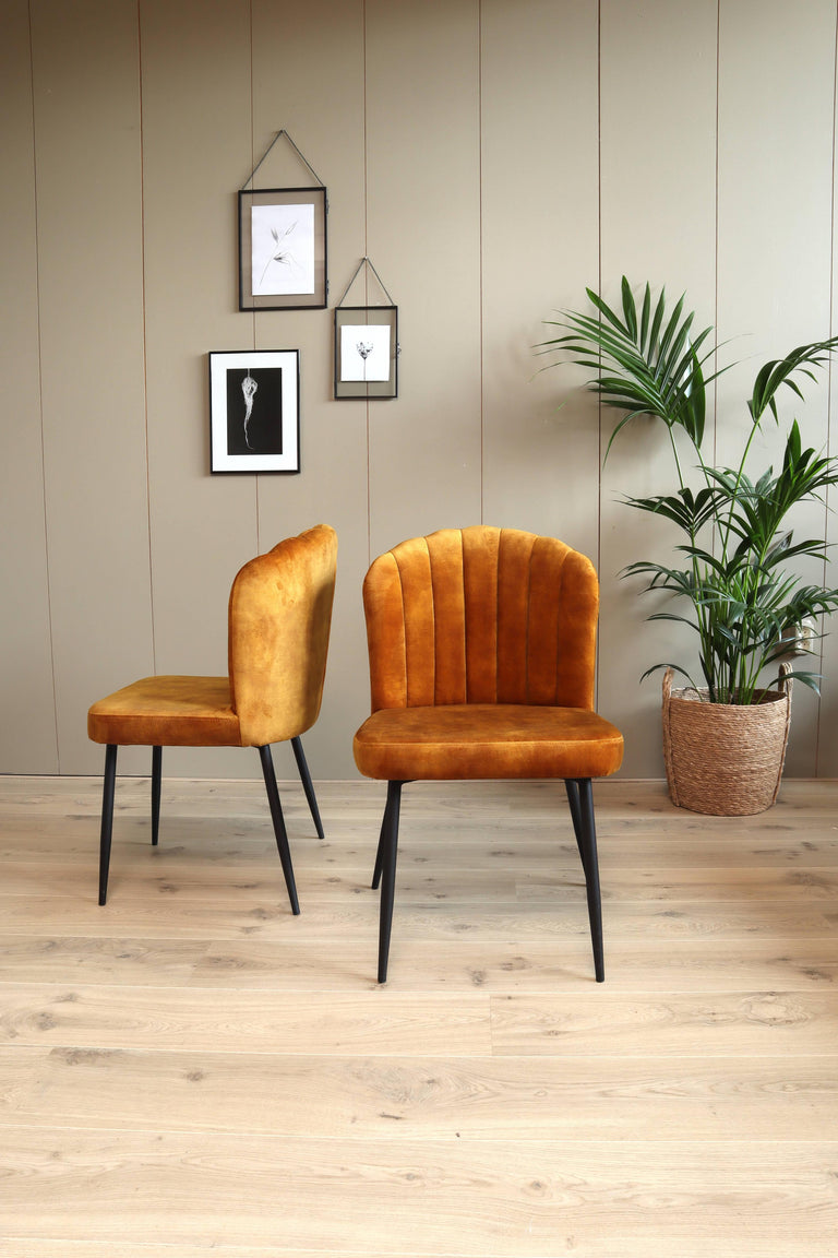 Set van 2 eetkamerstoelen Rose