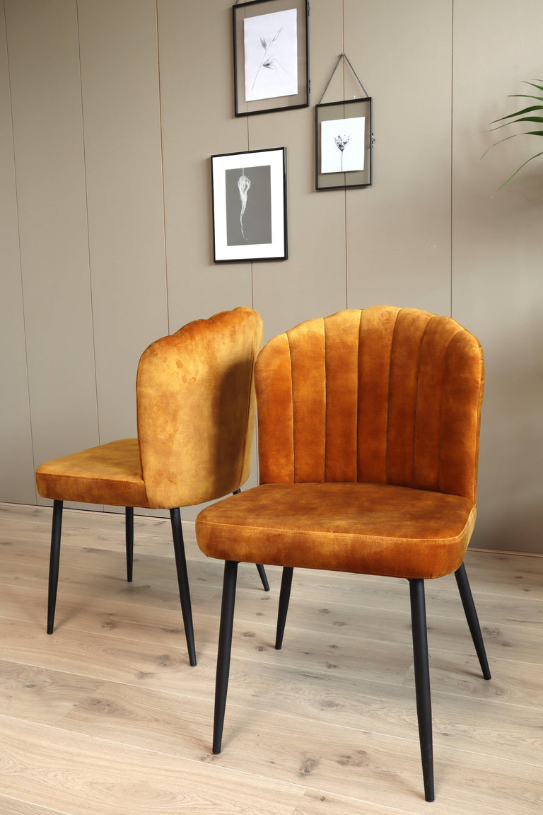 Set van 2 eetkamerstoelen Rose