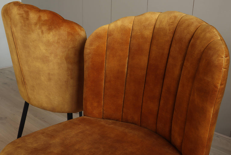 Set van 2 eetkamerstoelen Rose