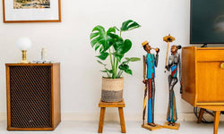 Set van 2 gatenplanten Monstera Deliciosa