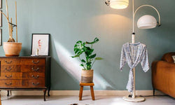 Set van 2 gatenplanten Monstera Deliciosa