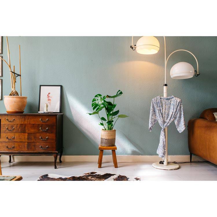 Set van 2 gatenplanten Monstera Deliciosa