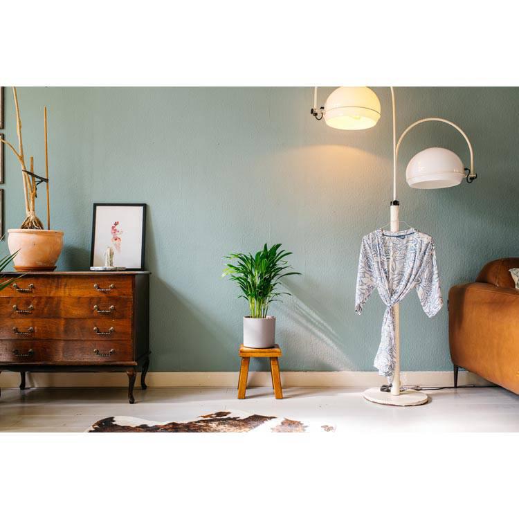 Set van 2 goudpalmen Areca