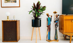 Set van 2 kamerplanten Calathea
