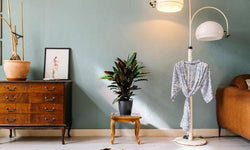 Set van 2 kamerplanten Calathea