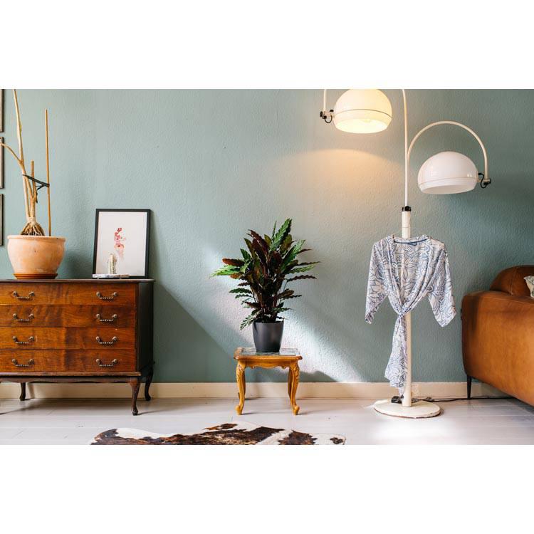 Set van 2 kamerplanten Calathea