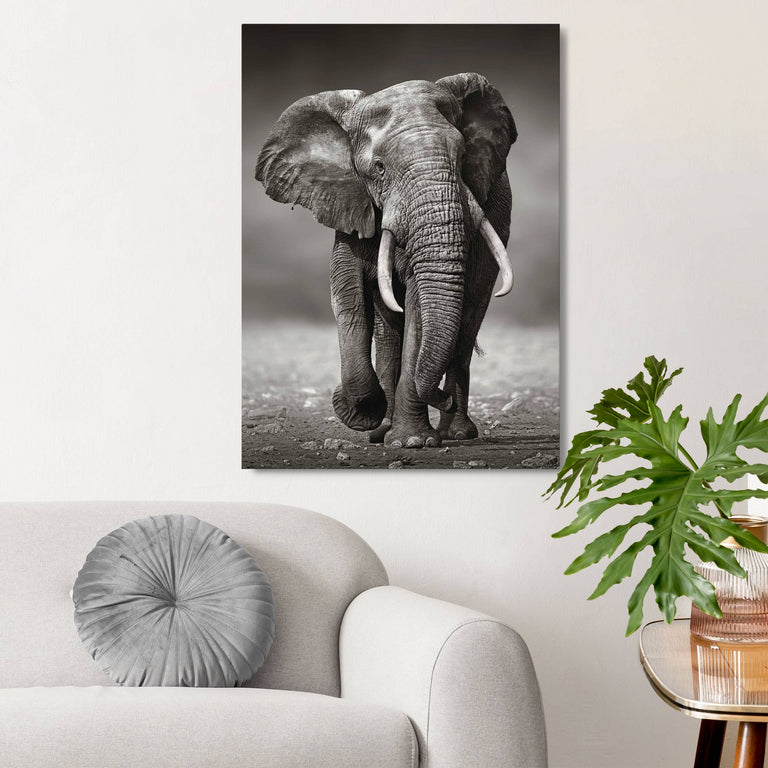 Canvas King of Wildlife