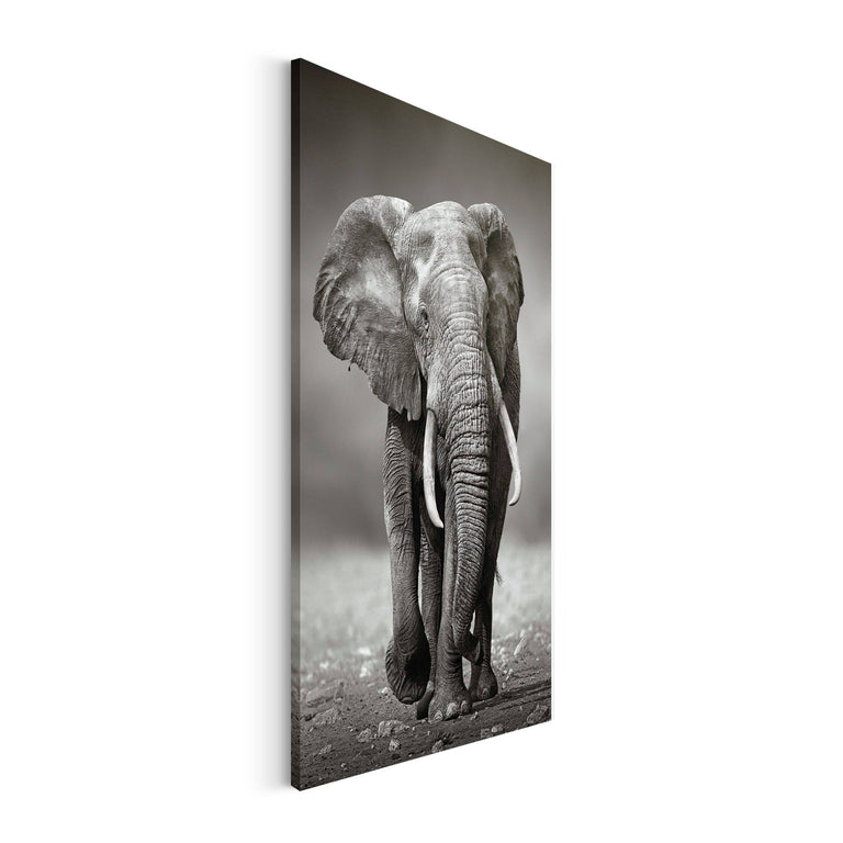 Canvas King of Wildlife