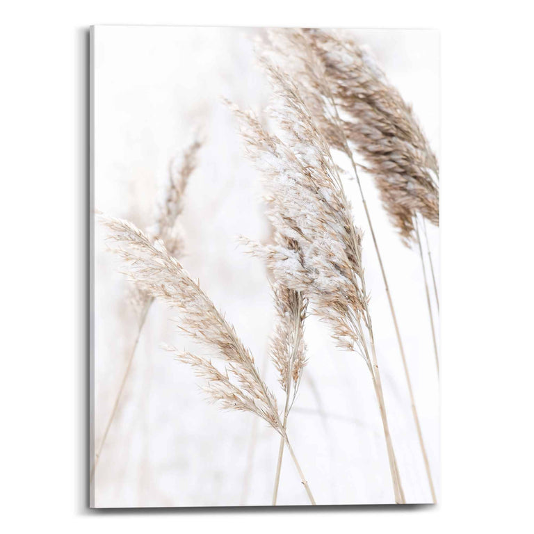 Canvas Scandic Breeze