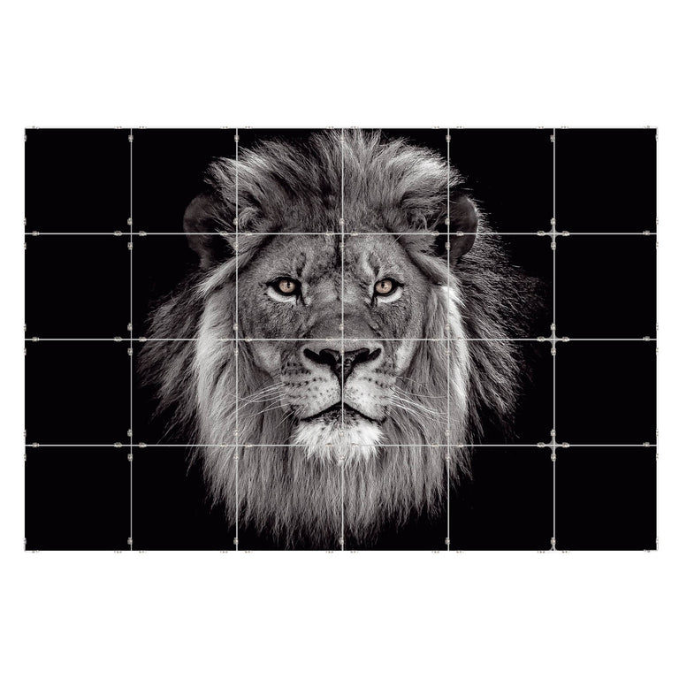 Fototegels Lion kunststof
