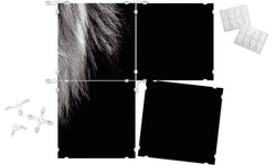 Fototegels Lion kunststof