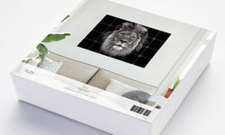 Fototegels Lion kunststof