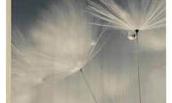 Houtprint Dewdrop Dandelion