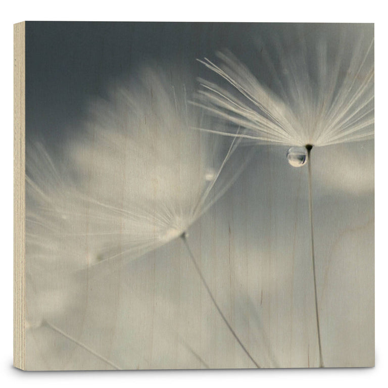 Houtprint Dewdrop Dandelion