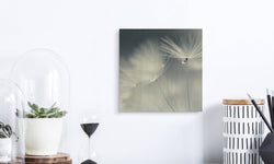 Houtprint Dewdrop Dandelion
