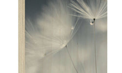 Houtprint Dewdrop Dandelion