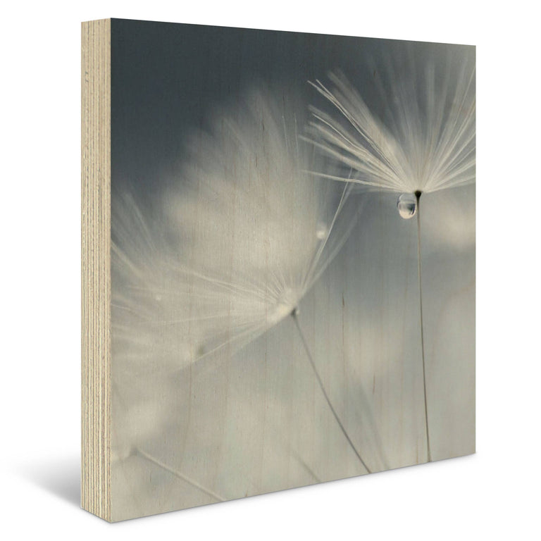 Houtprint Dewdrop Dandelion