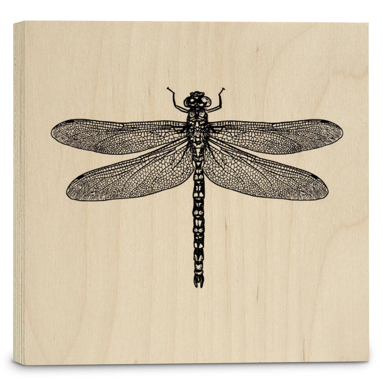 Houtprint Dragonfly