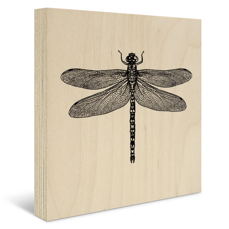 Houtprint Dragonfly